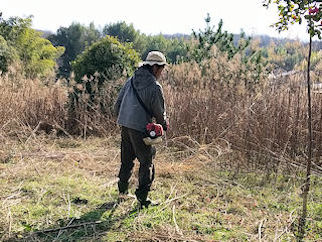 草刈りイメージ